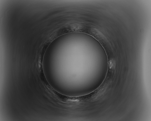 X0000088371011200705291323