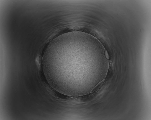 X0000088371012200705291323