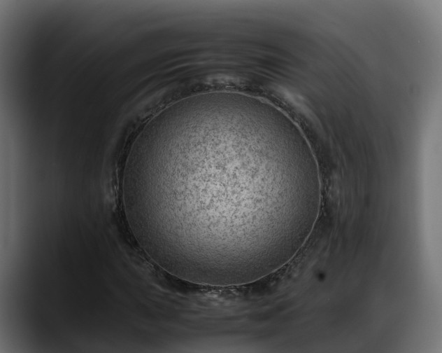 X0000088371015200705291323
