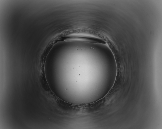 X0000088371016200705291323