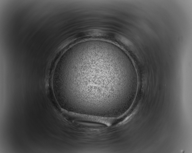 X0000088371017200705291323