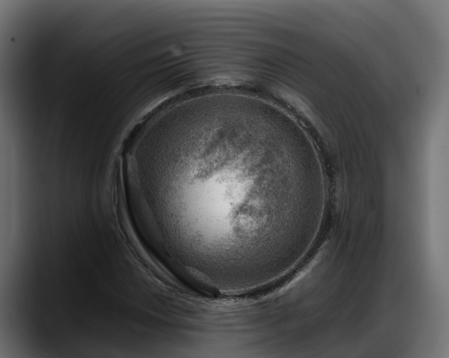 X0000088371018200705291323