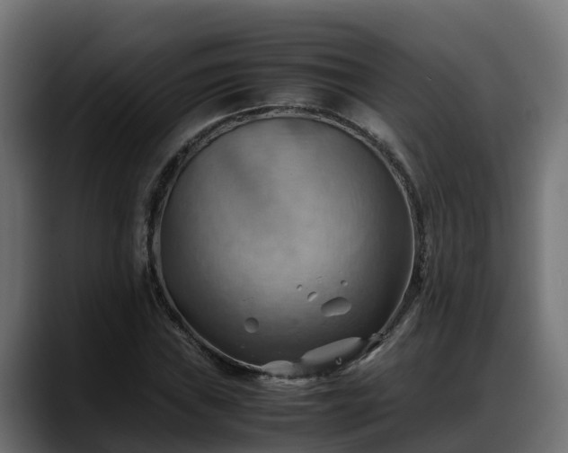 X0000088371019200705291323