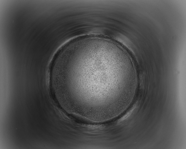 X0000088371021200705291323
