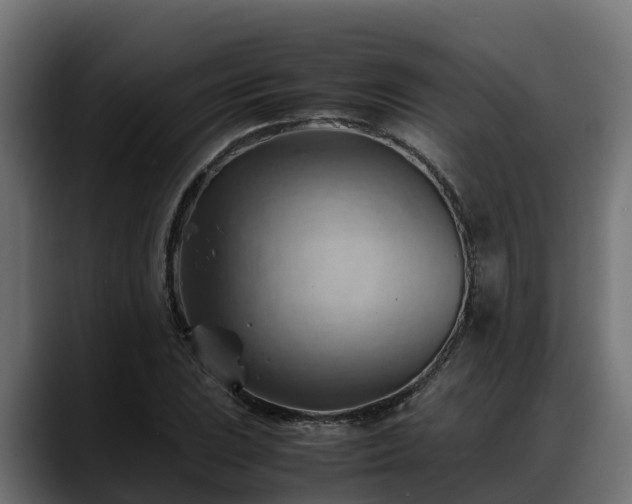 X0000088371023200705291323