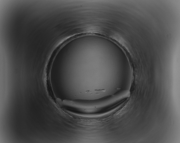 X0000088371024200705291323