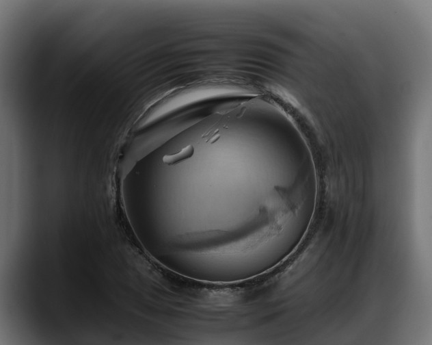 X0000088371025200705291323