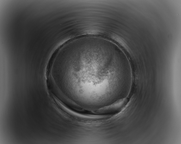 X0000088371026200705291323