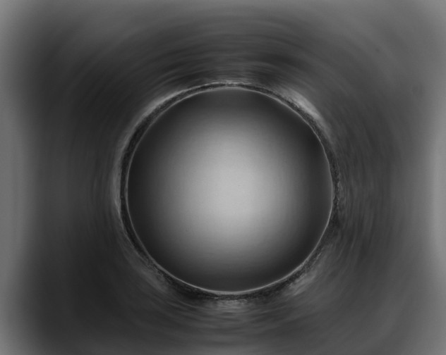 X0000088371035200705291323