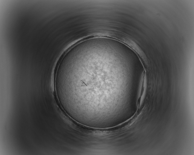 X0000088371036200705291323