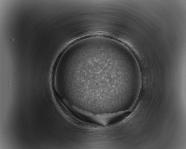 X0000088371038200705291323
