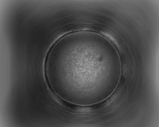 X0000088371039200705291323