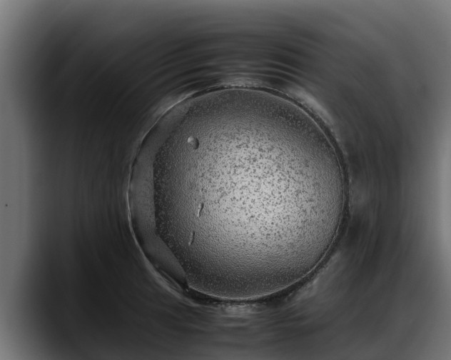 X0000088371041200705291323