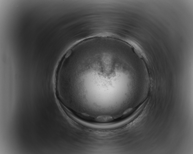 X0000088371046200705291323