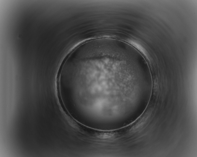 X0000088371047200705291323