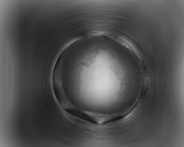X0000088371050200705291323
