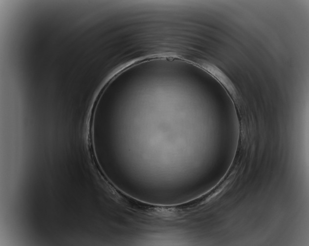 X0000088371052200705291323