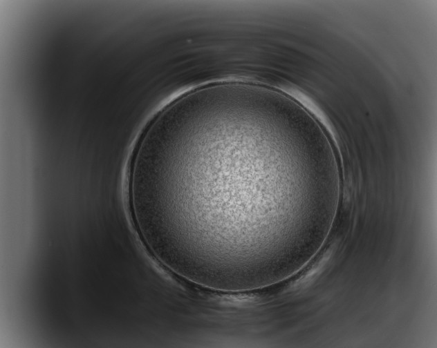 X0000088371053200705291323