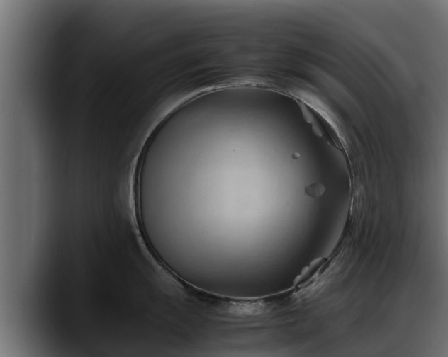 X0000088371055200705291323