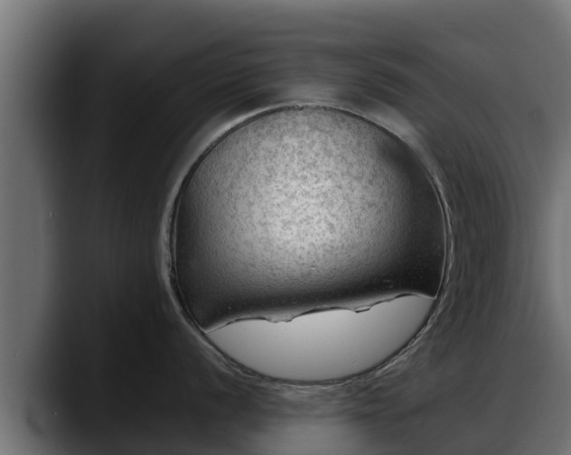 X0000088371056200705291323