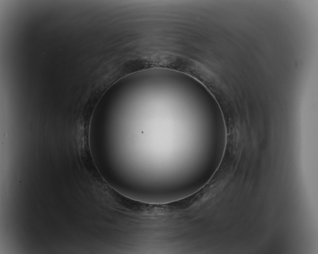 X0000088371058200705291323