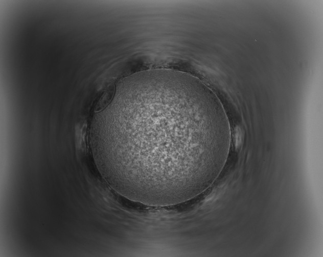X0000088371059200705291323