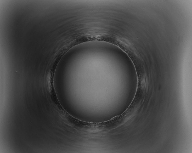 X0000088371060200705291323