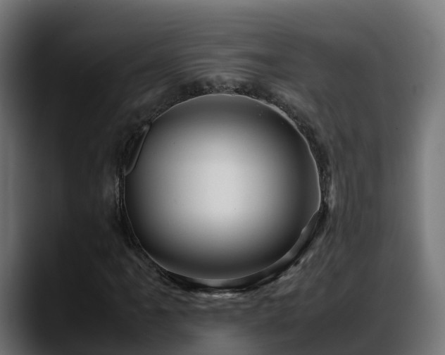 X0000088371061200705291323