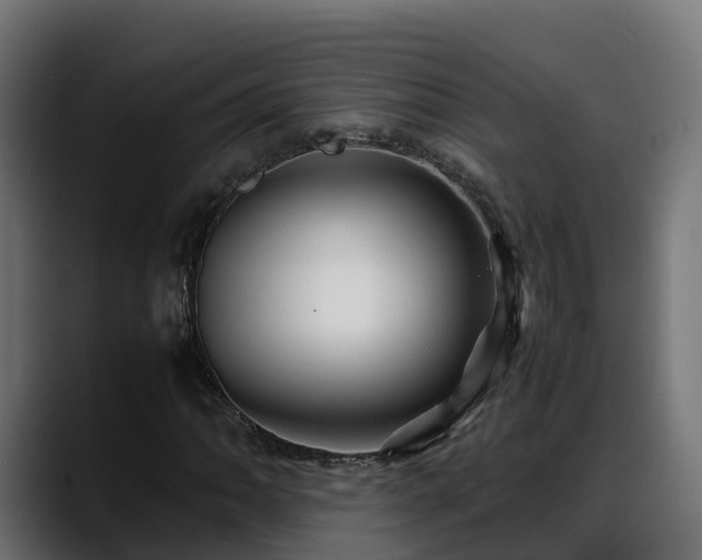 X0000088371062200705291323