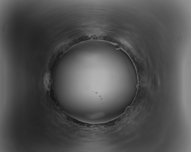 X0000088371063200705291323