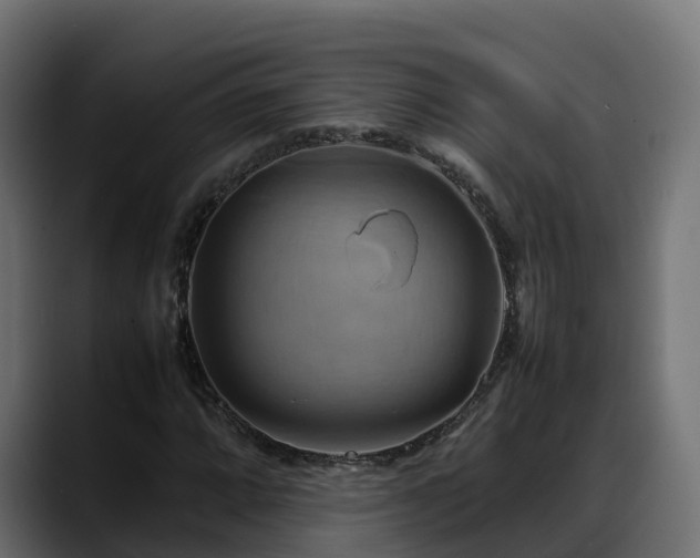 X0000088371064200705291323