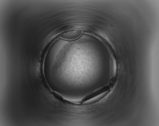 X0000088371066200705291323