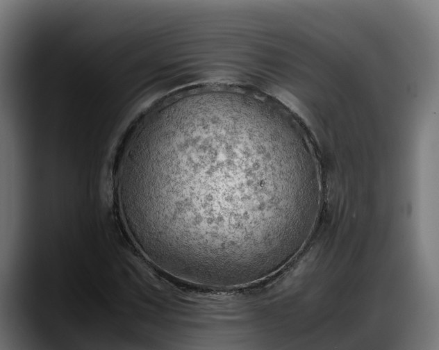 X0000088371067200705291323