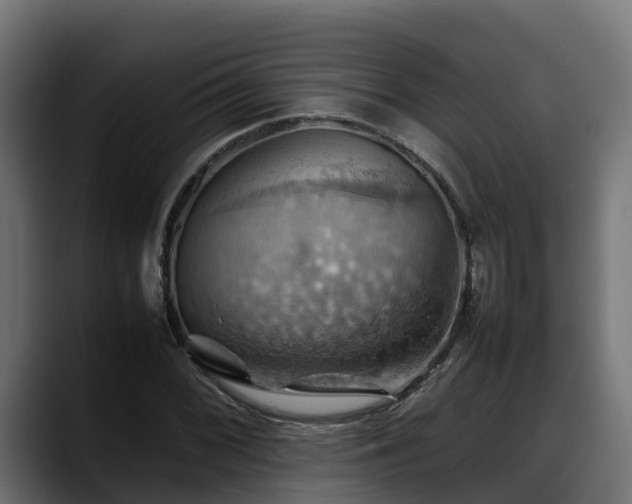 X0000088371068200705291323