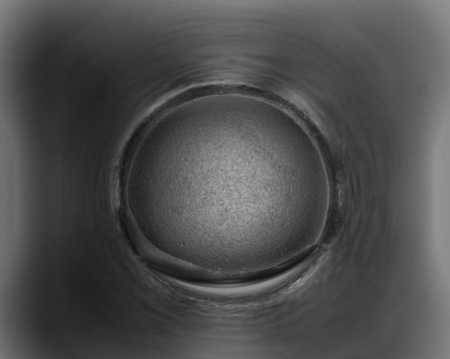 X0000088371069200705291323