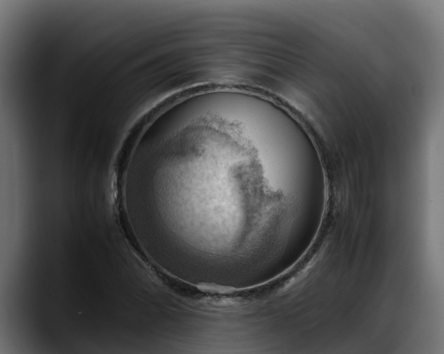 X0000088371070200705291323