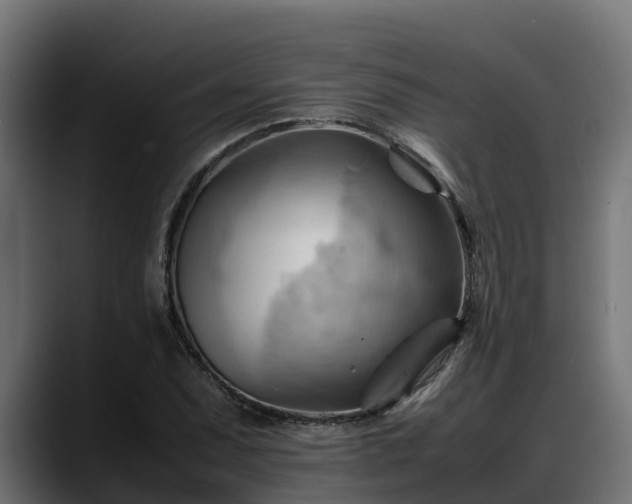 X0000088371071200705291323