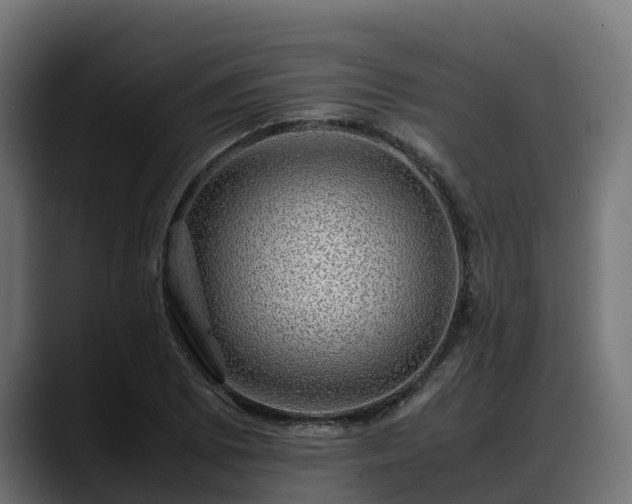 X0000088371073200705291323