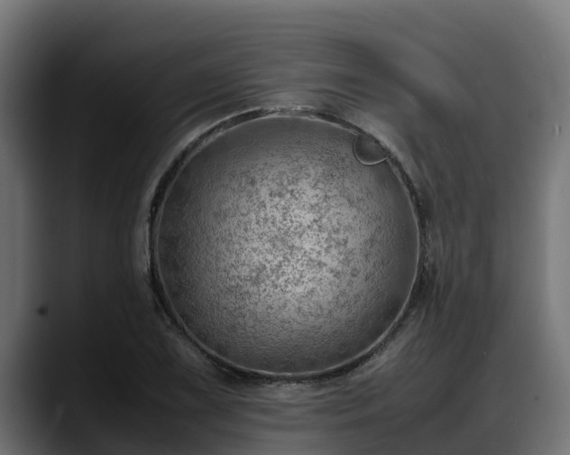X0000088371075200705291323