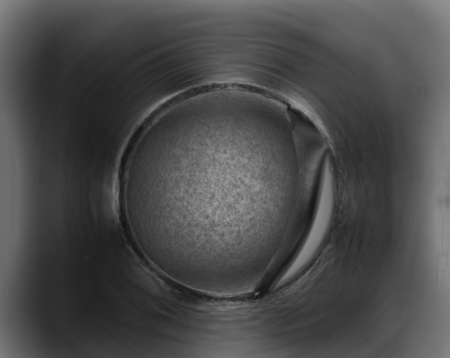X0000088371076200705291323