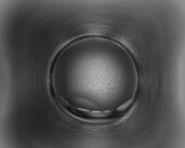 X0000088371077200705291323