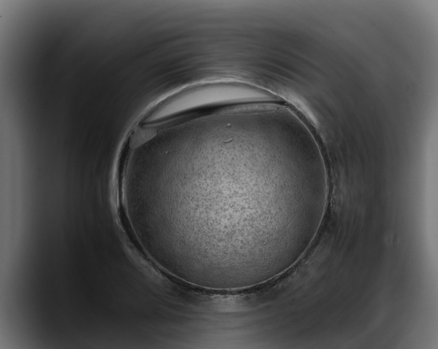 X0000088371080200705291323
