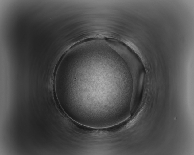 X0000088371081200705291323