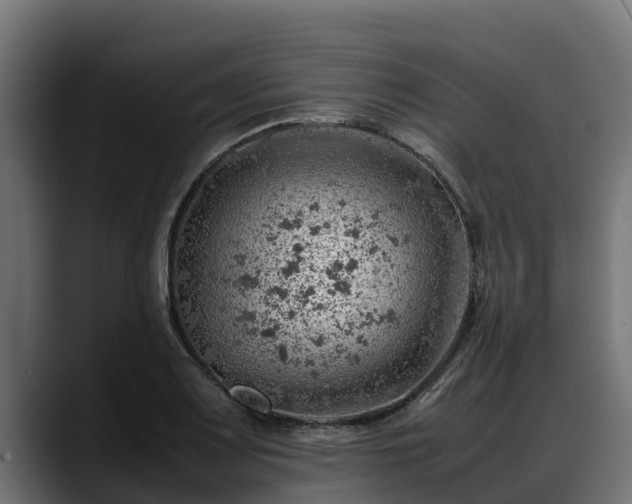 X0000088371083200705291323