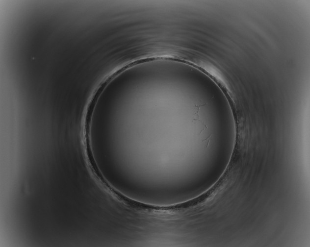 X0000088371088200705291322