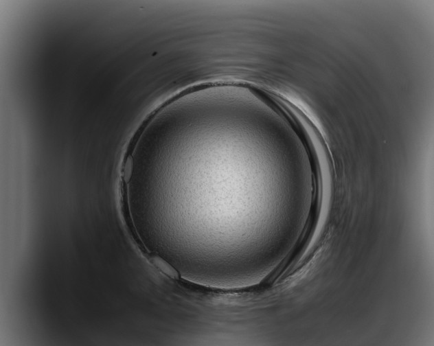 X0000088371093200705291322