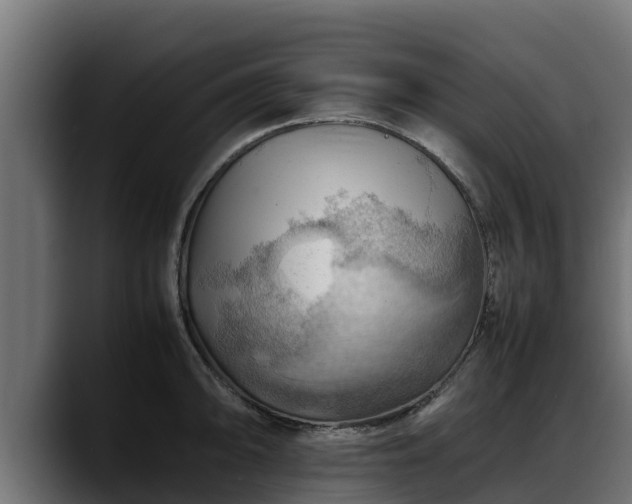 X0000088371094200705291322