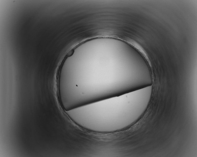 X0000088371096200705291322