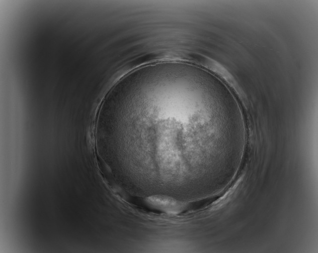 X0000088371097200705291322