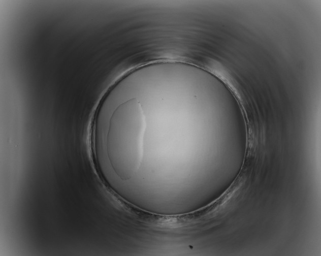 X0000088371098200705291322
